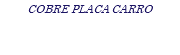 COBRE PLACA CARRO